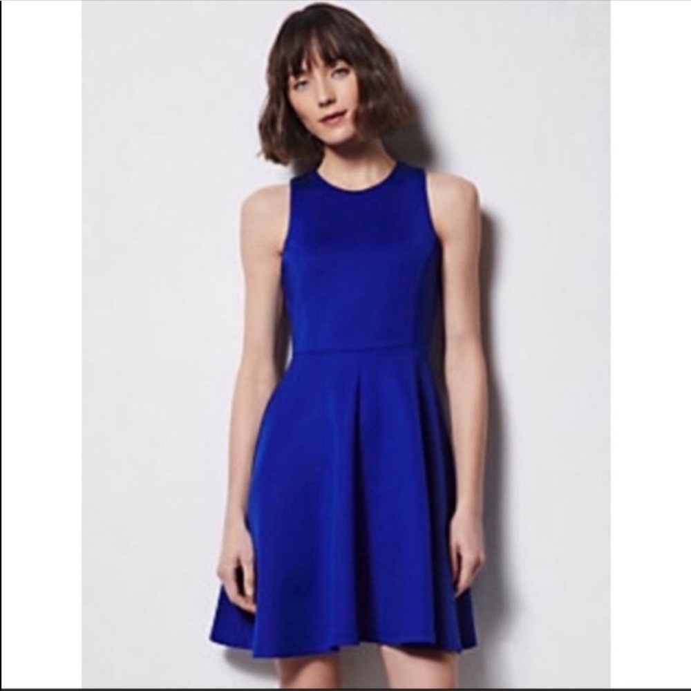 Milly for Design Nation Sapphire Blue Skater Skirt